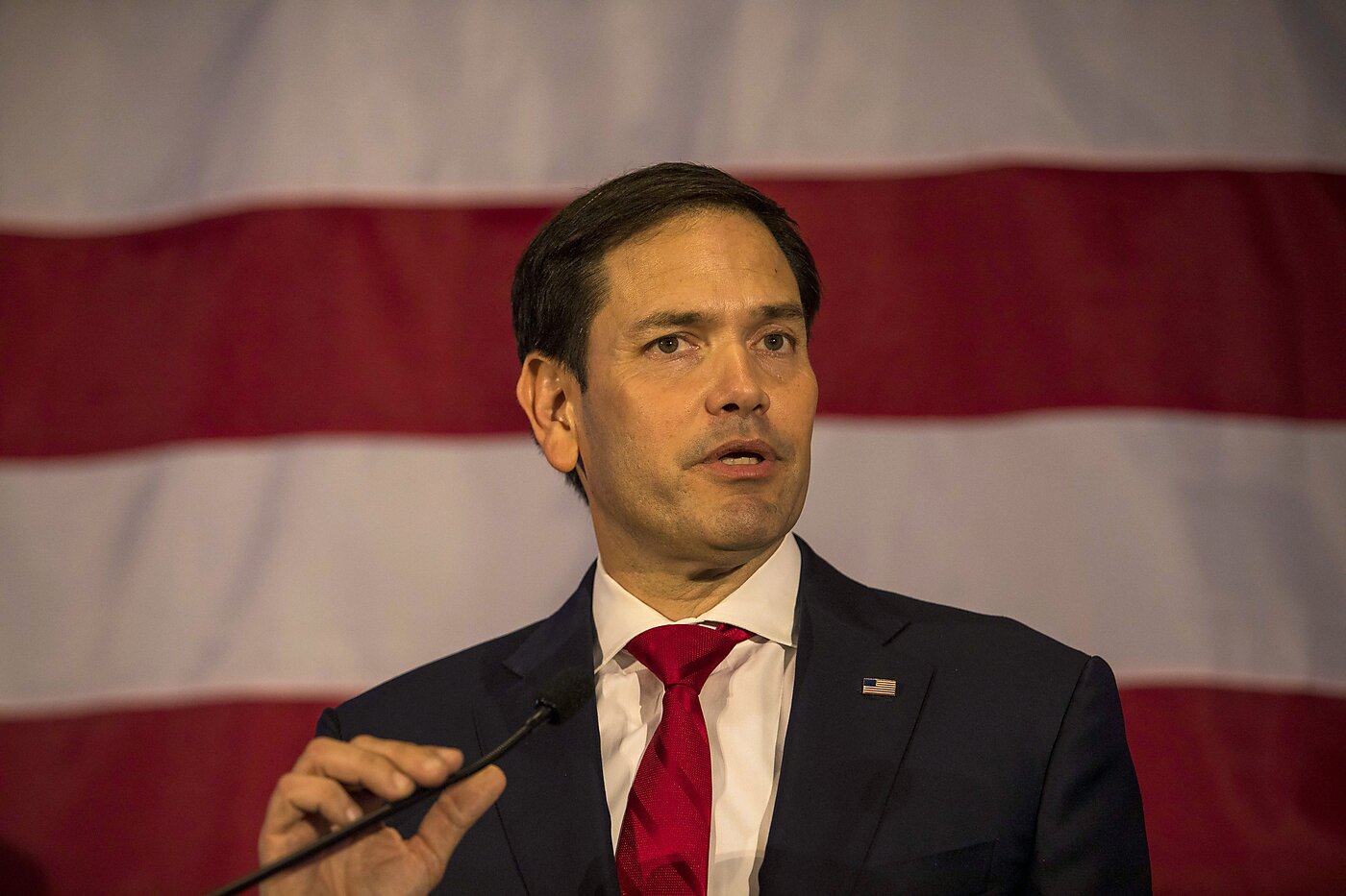 rubio