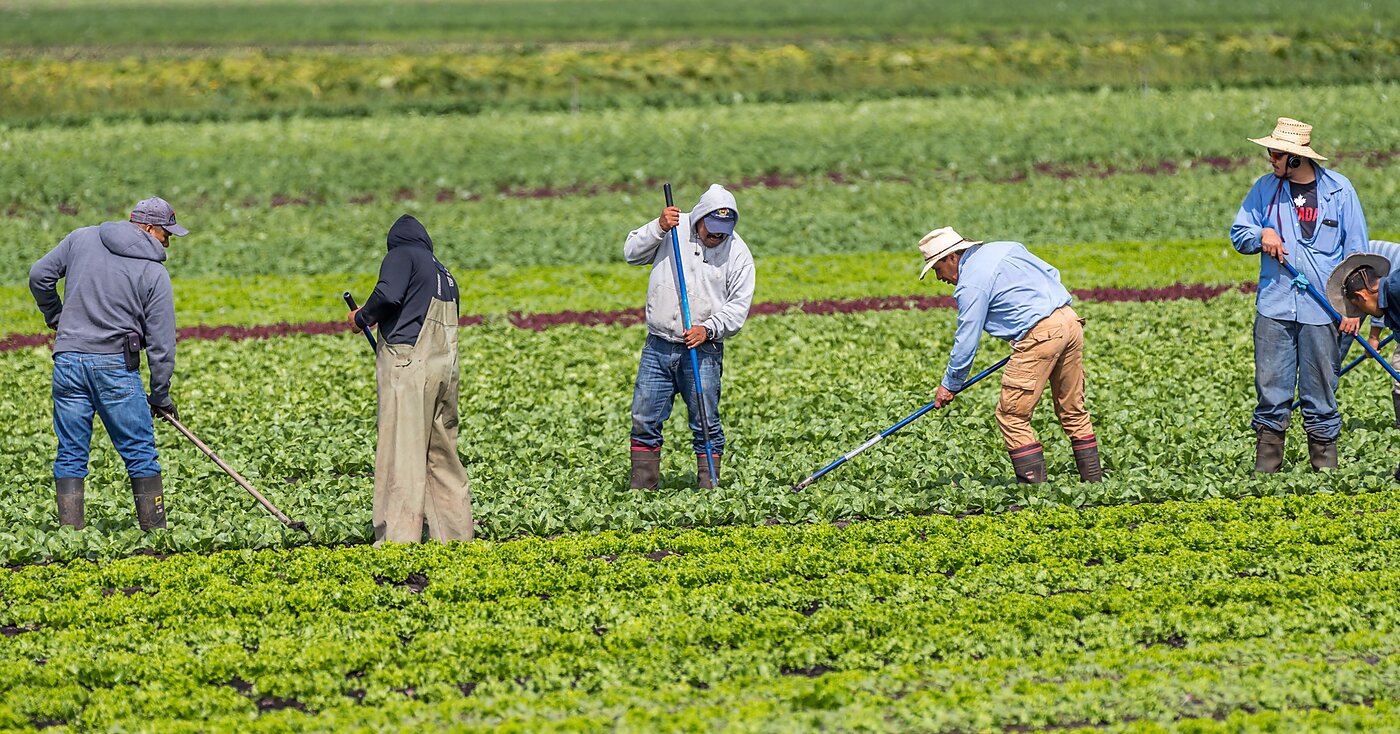 immigrant workers 