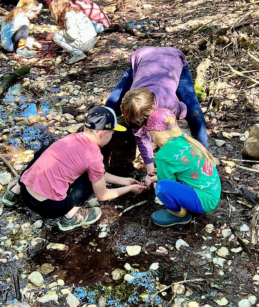Learning in nature at Brompton school.